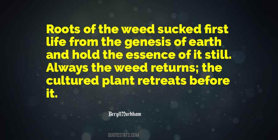 A Weed Is A Plant Quotes #677743