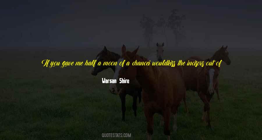 I Gave You A Chance Quotes #1044259