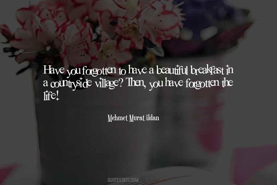 Beautiful Village Quotes #166825