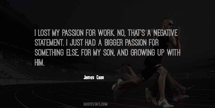 Passion For My Work Quotes #560661