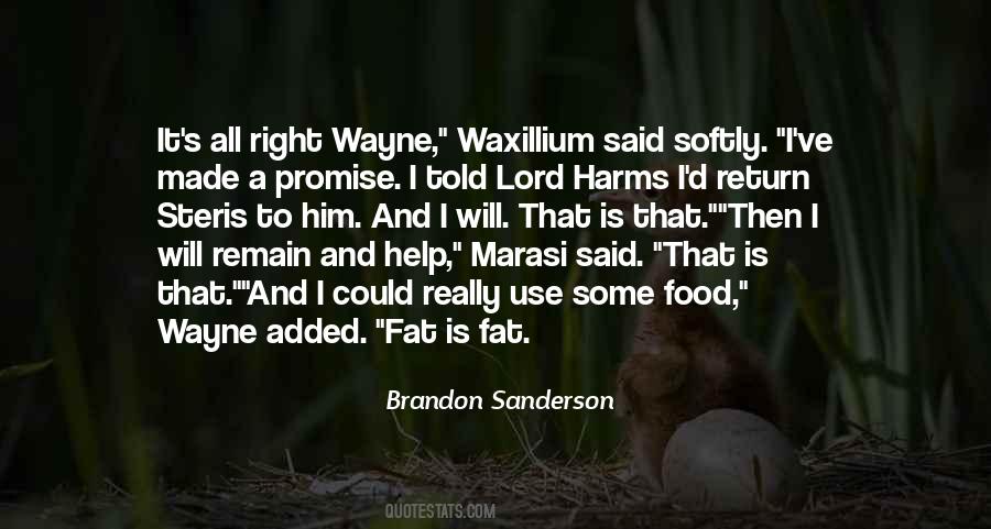 Some Promise Quotes #1243917
