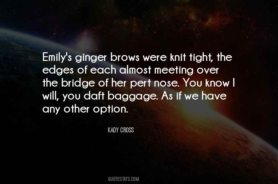 Over The Bridge Quotes #289423