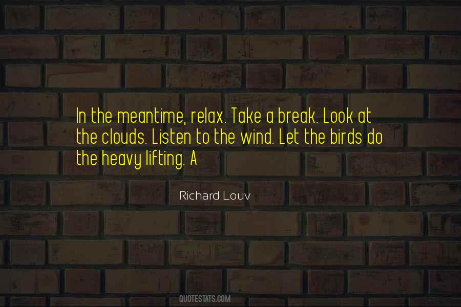 Look At The Clouds Quotes #1312978