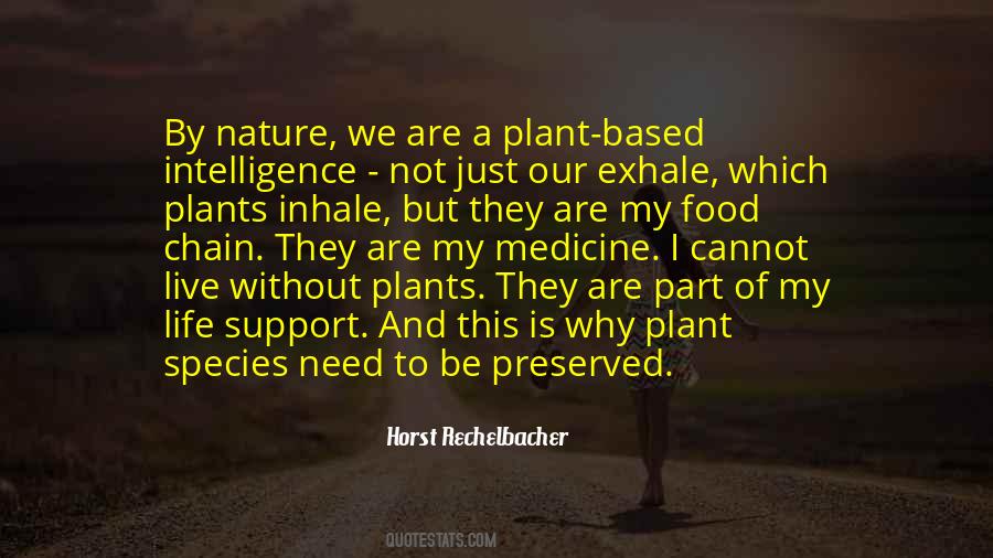 Food Is Medicine Quotes #1809475
