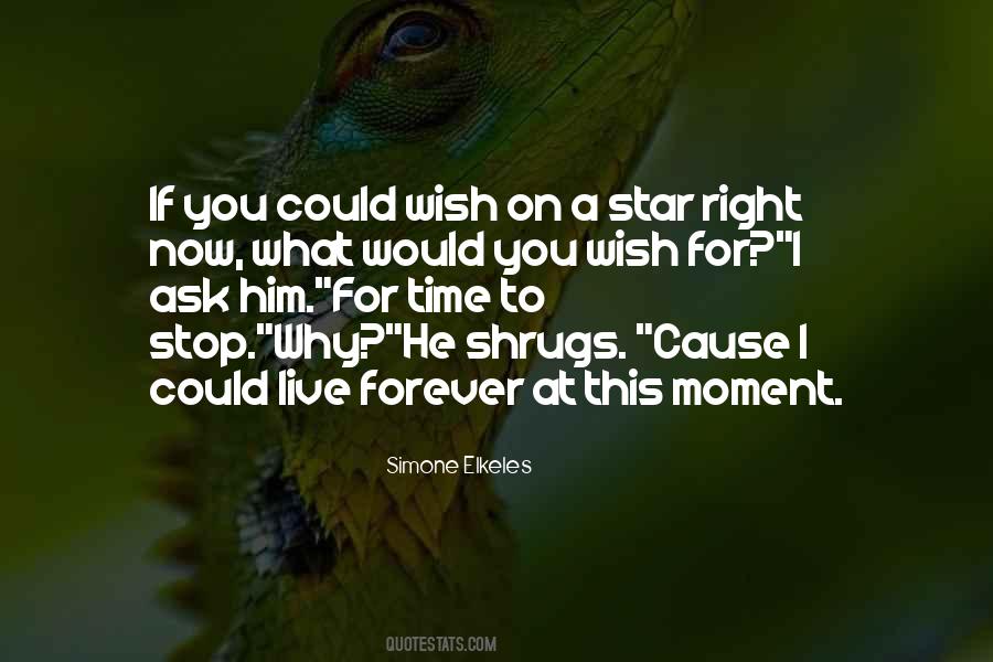 Wish I Could Stop Time Quotes #1198205
