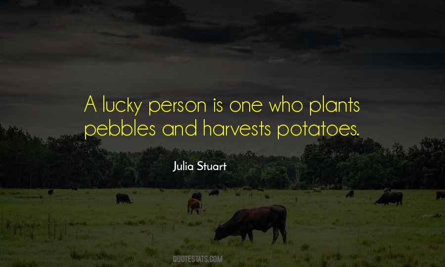 Quotes About Harvests #188096