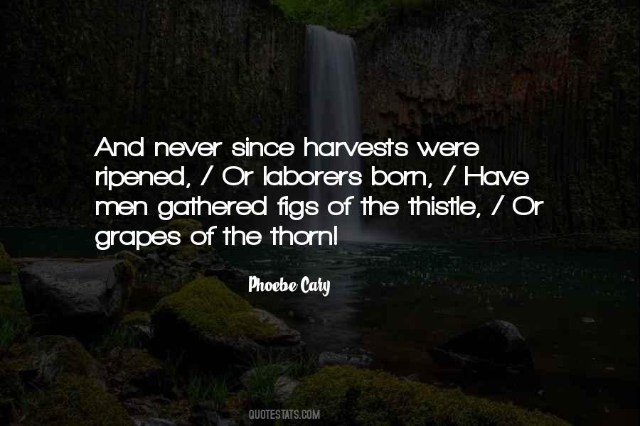 Quotes About Harvests #339555