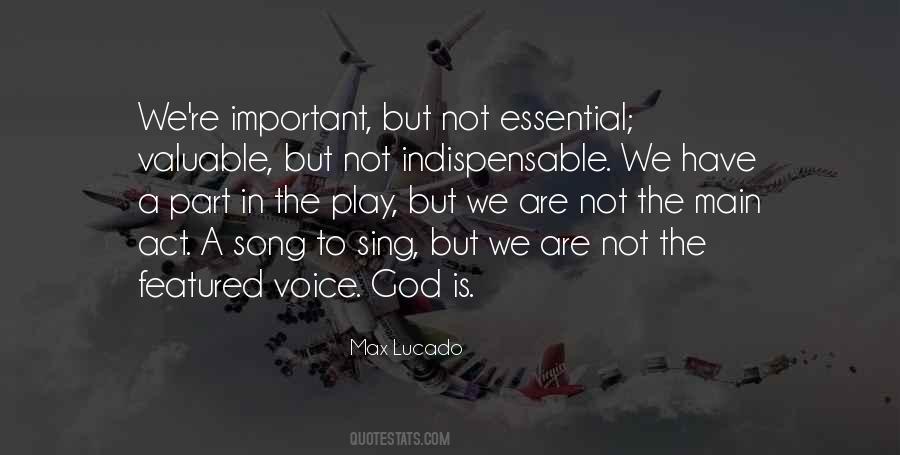 We Are Not Important Quotes #1205870