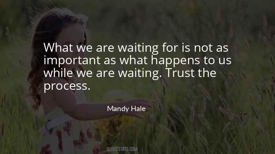 We Are Not Important Quotes #1504970