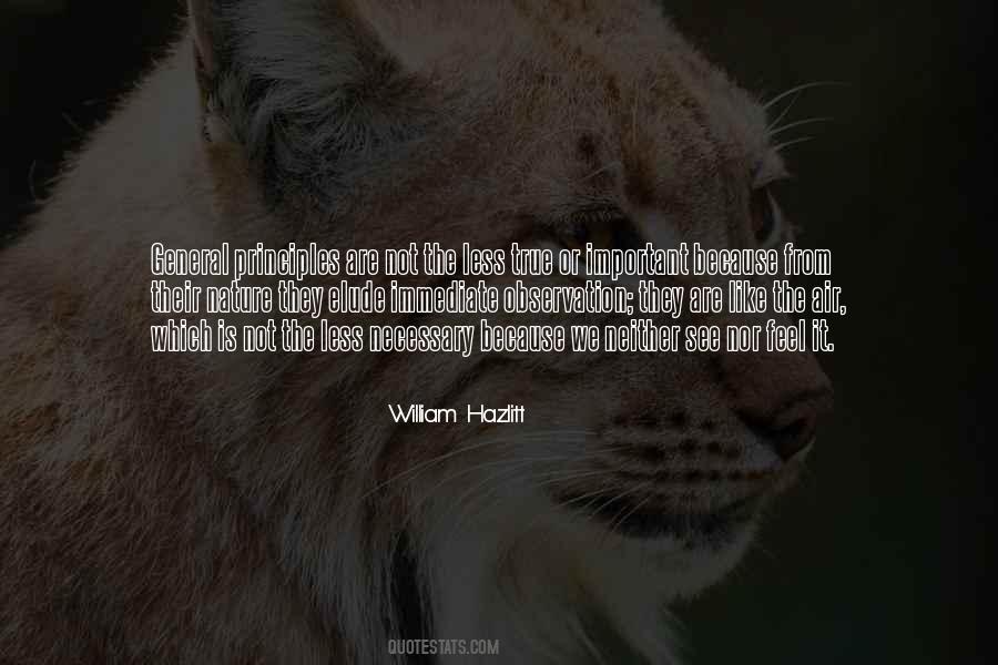 We Are Not Important Quotes #464972