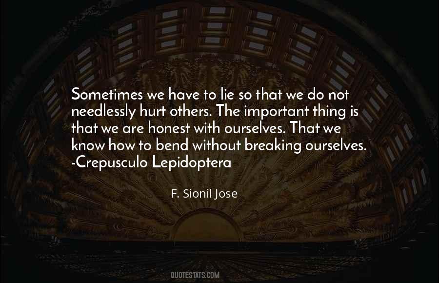 We Are Not Important Quotes #830122