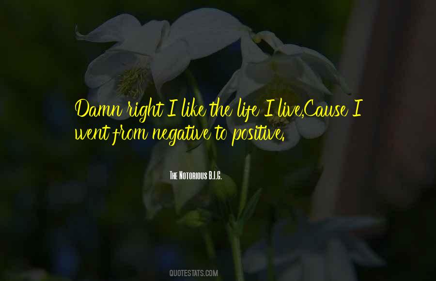 Live Your Life While You Have It Quotes #3035