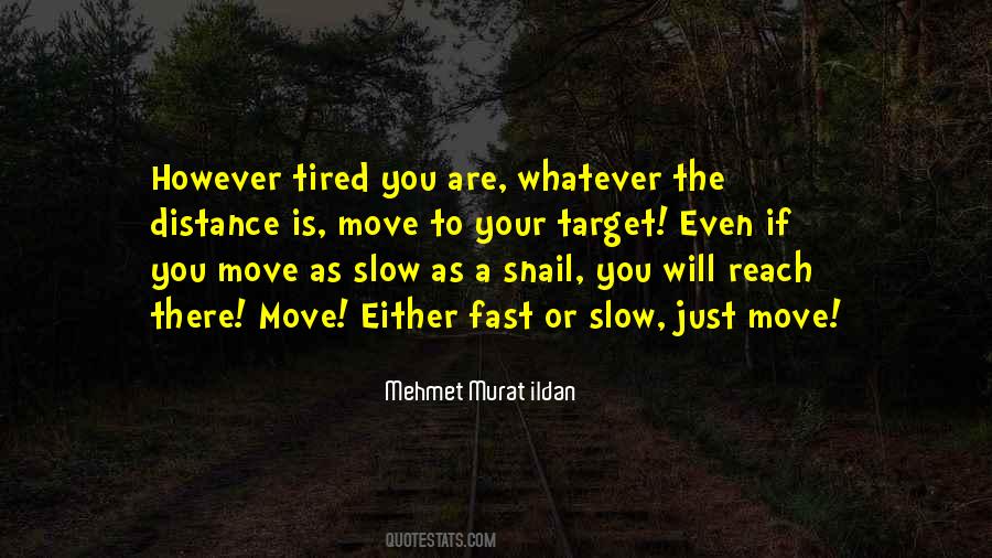 Fast Is Slow Quotes #343098
