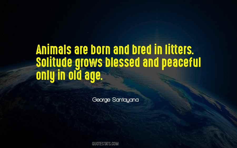 Old Animal Quotes #670629
