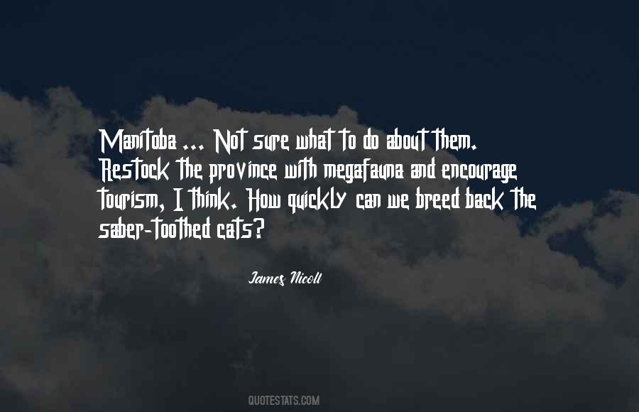 Quotes About Your Province #261406