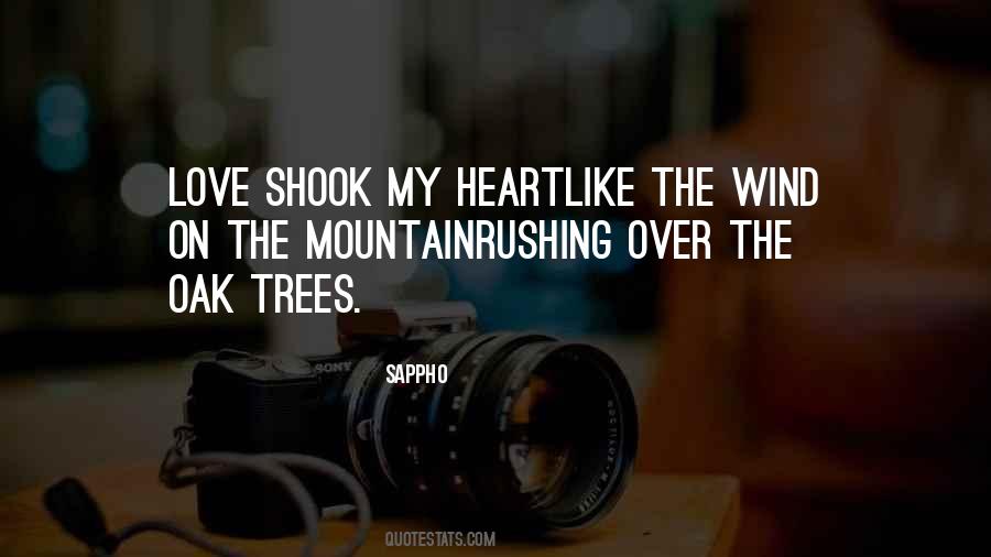 Mountain Love Quotes #1681224