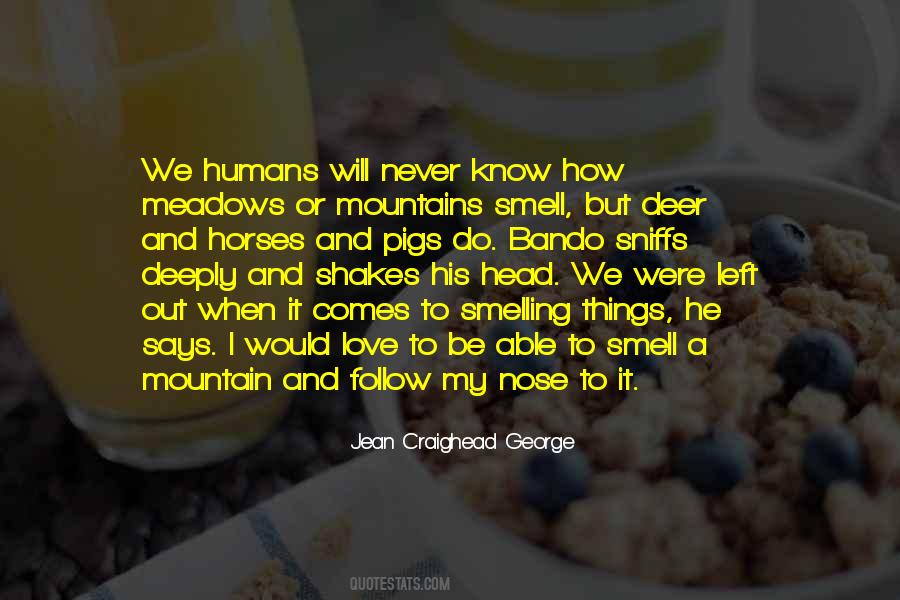 Mountain Love Quotes #519707