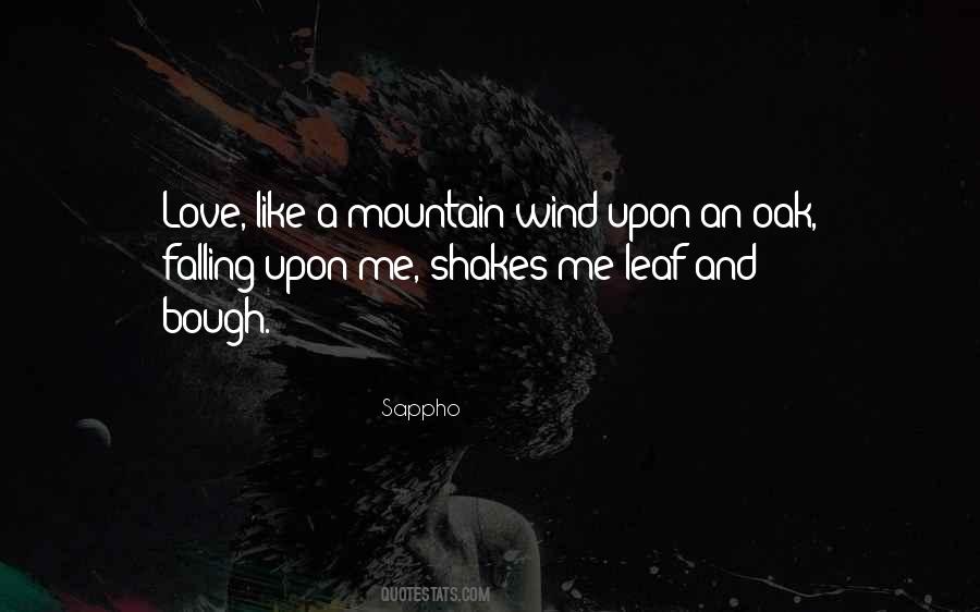 Mountain Love Quotes #587532