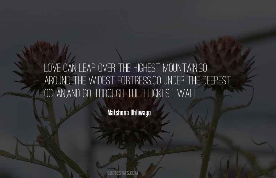 Mountain Love Quotes #951534
