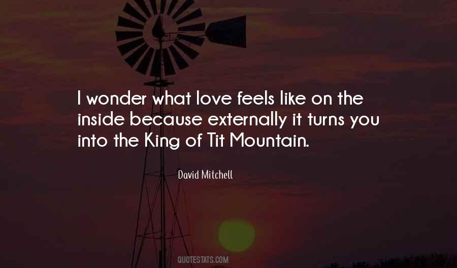 Mountain Love Quotes #969944