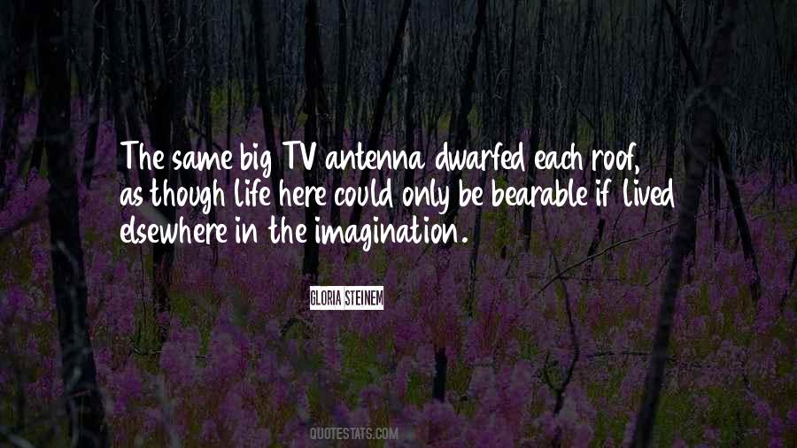 Big Tv Quotes #1738328