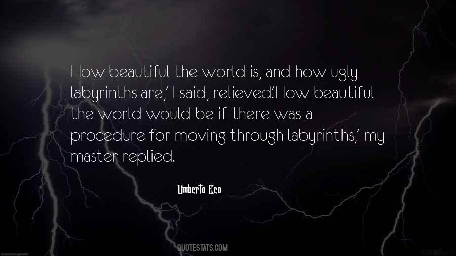 Beautiful Ugly Quotes #253145