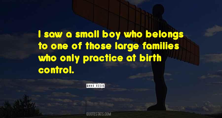 Families Small Quotes #1013680