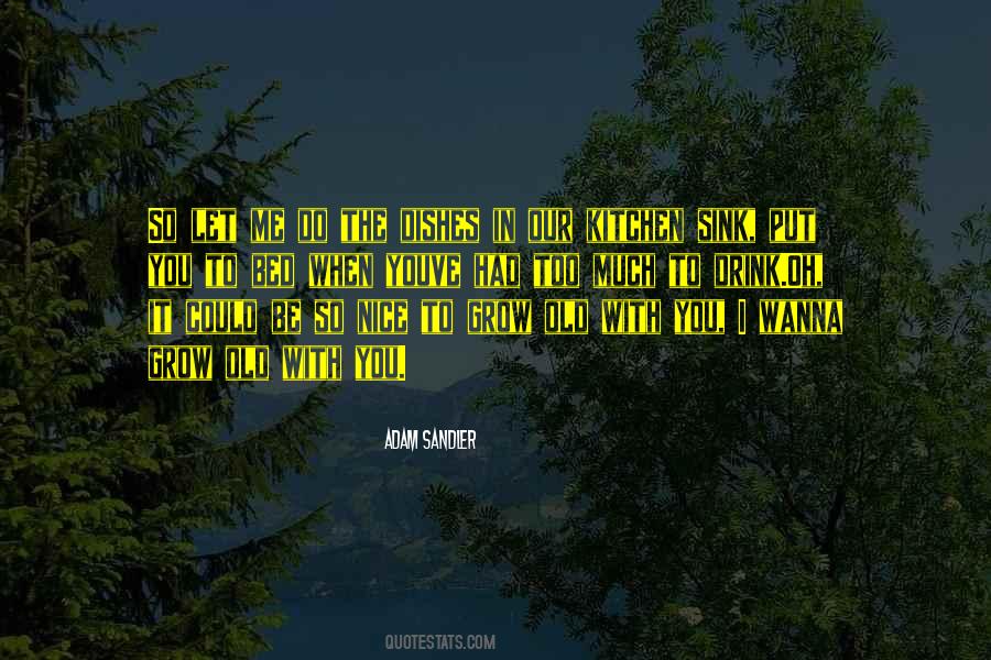 Old Kitchen Quotes #995543