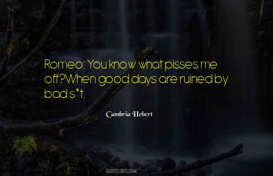 Bad Days Good Days Quotes #706211