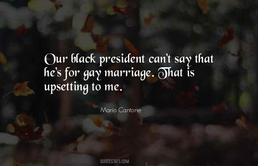 For Gay Marriage Quotes #939578