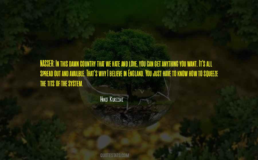 How Can I Hate You Quotes #1539927