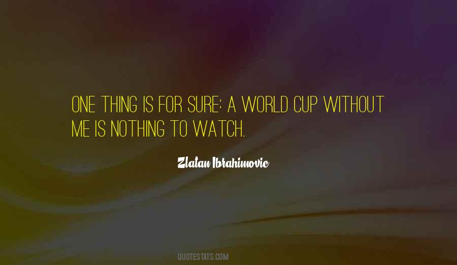 One Sure Thing Quotes #1302273