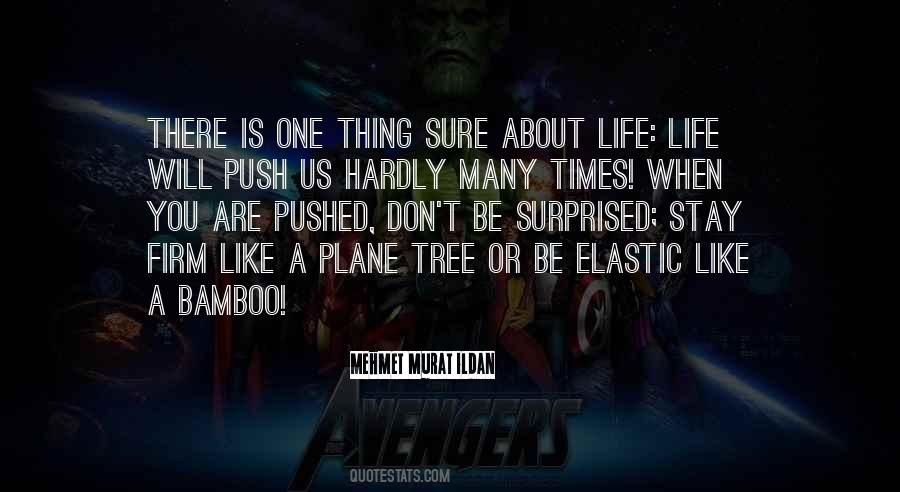 One Sure Thing Quotes #578460