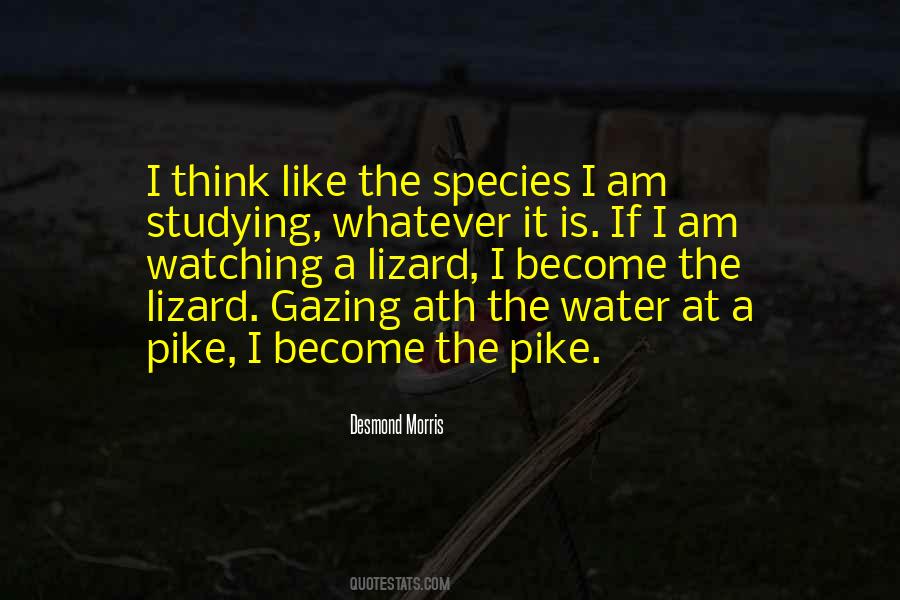 I Am Studying Quotes #1517900