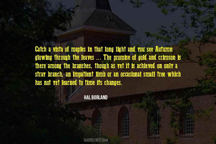 Small Leaves Quotes #406321