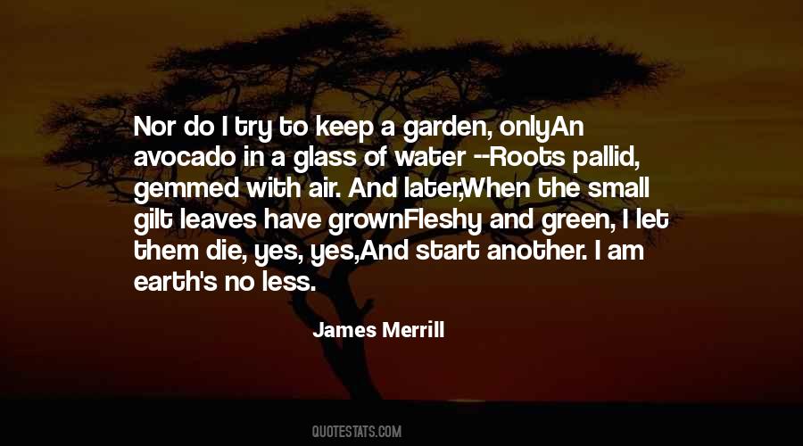 Small Leaves Quotes #70092