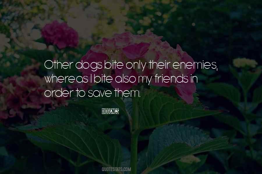 To My Dog Quotes #520656