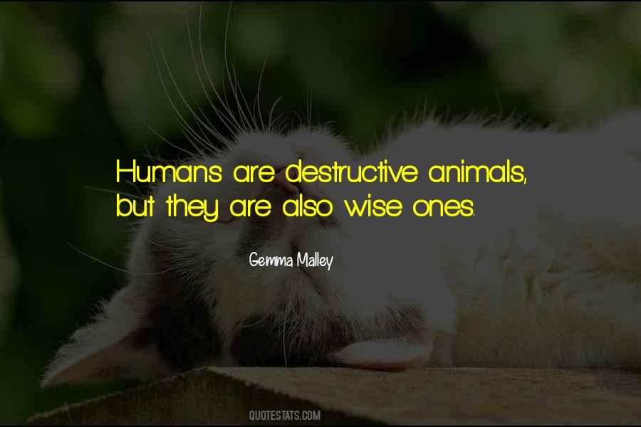 Humans Animals Quotes #550526