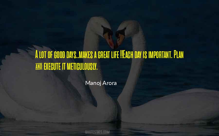 Plan And Execution Quotes #1035343