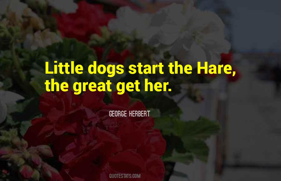 Quotes About Hare #1325100