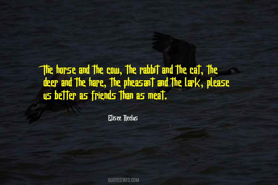 Quotes About Hare #931514