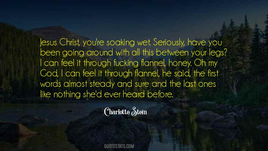 Heard It All Before Quotes #379054