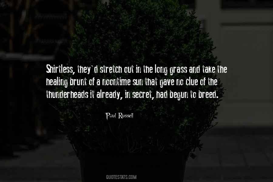 Healing Sun Quotes #1135045