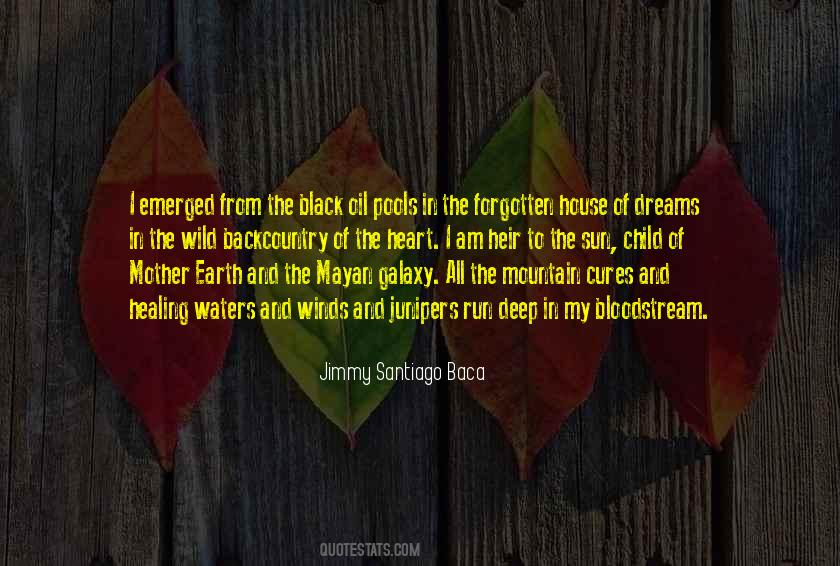 Healing Sun Quotes #1653614