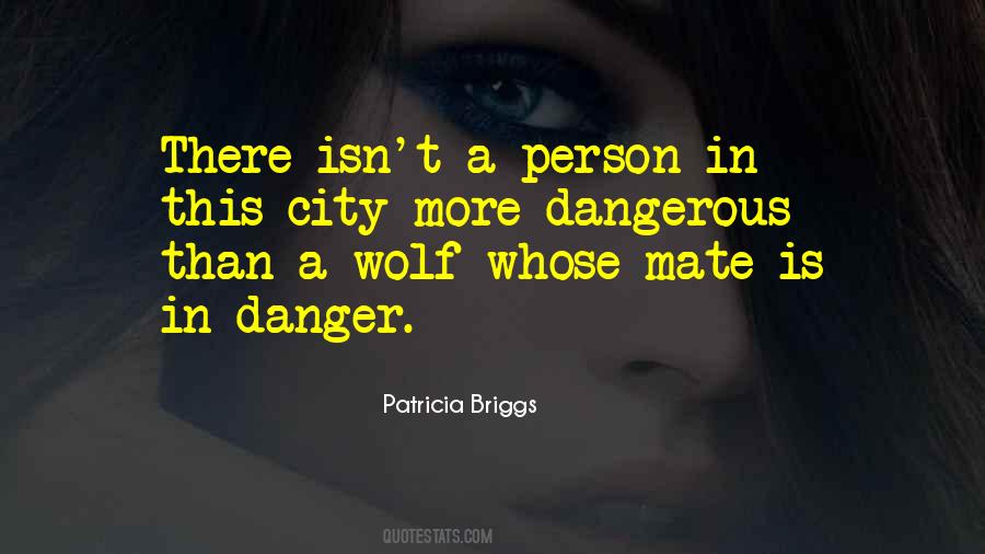 Quotes About Danger And Love #1418076