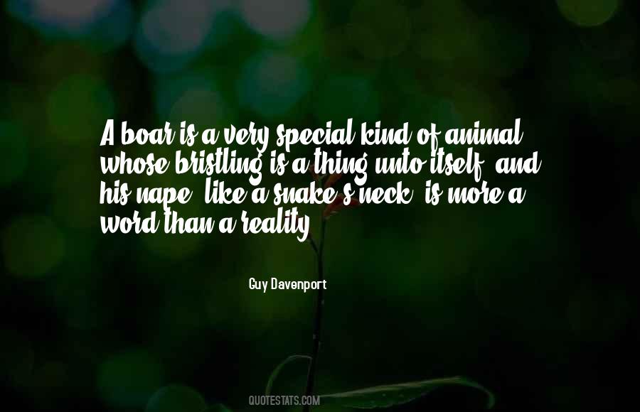 Special Animal Quotes #782358