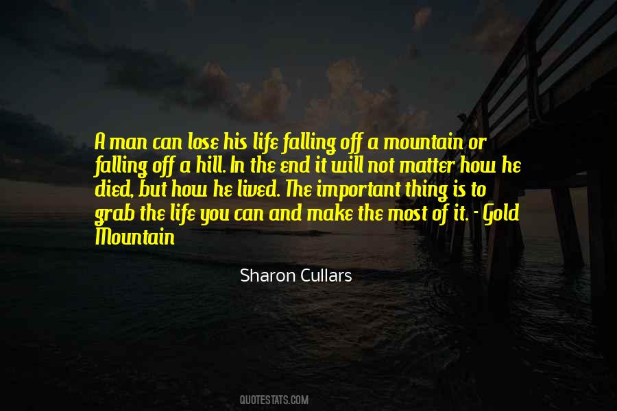 Life Mountain Quotes #821119