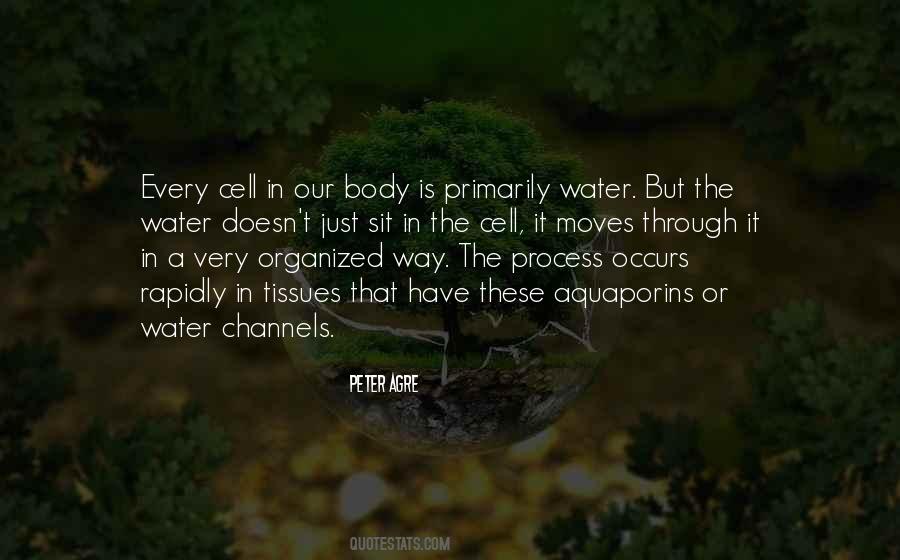 Water Body Quotes #16858