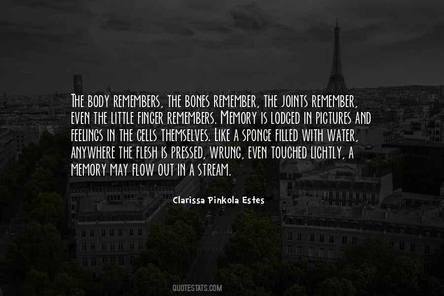 Water Body Quotes #691818