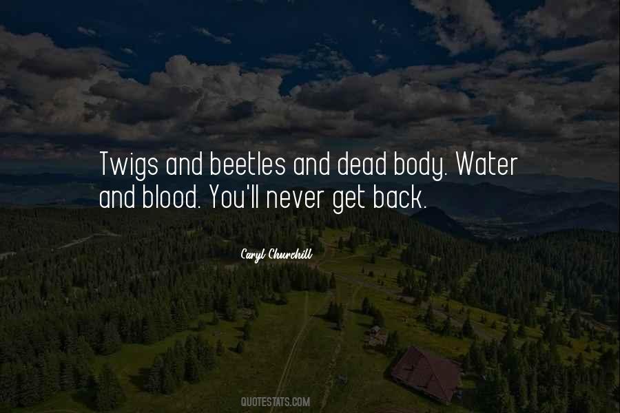 Water Body Quotes #72322